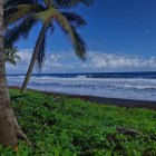 Kingstown (Saint Vincent)